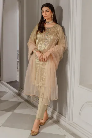 Copper Embroidered Pakistani Salwar Kameez with Dupatta Salwar Suit
