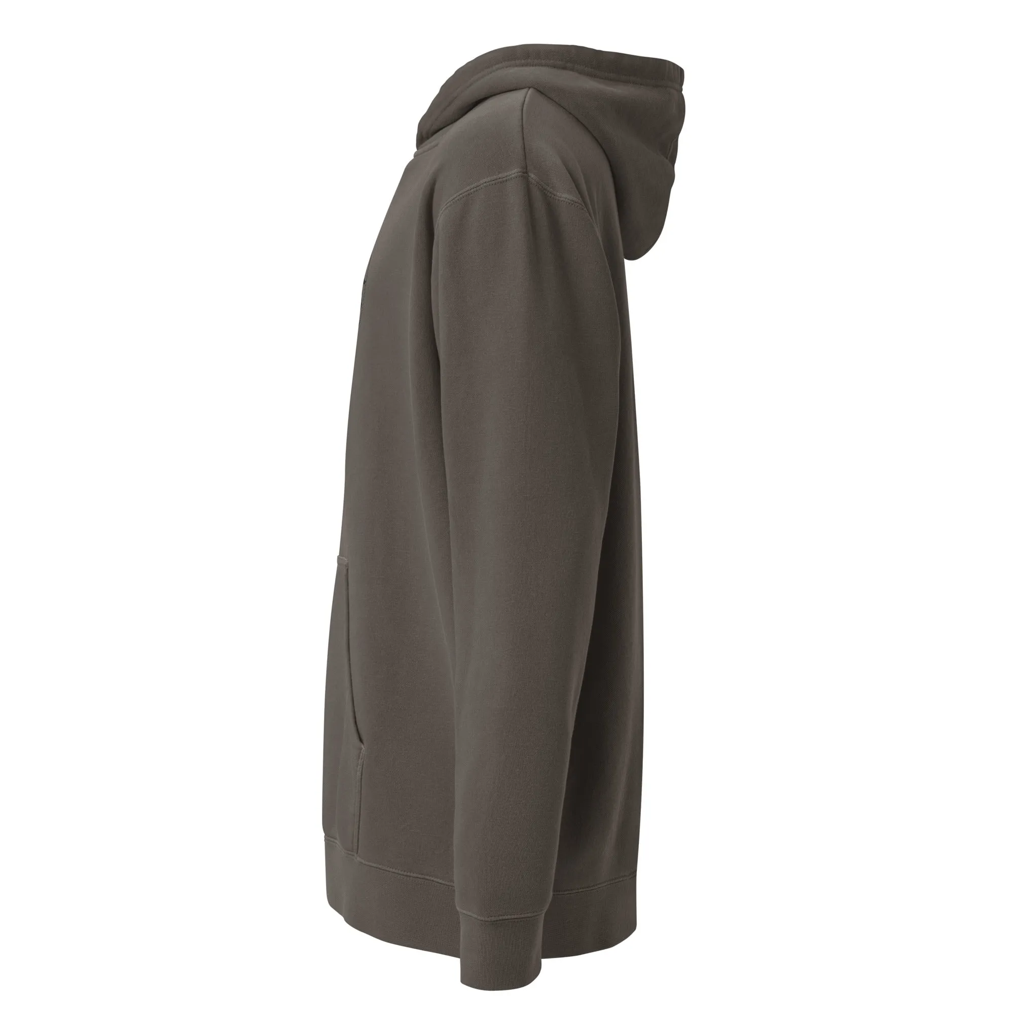 NUS Hoodie