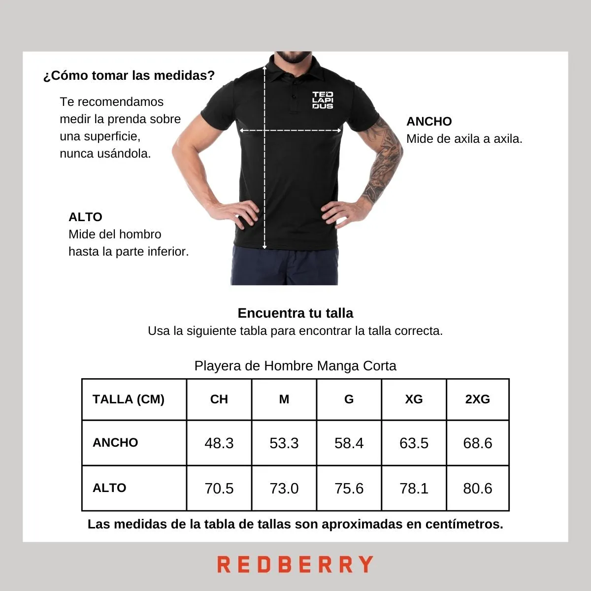 Playera Deportiva tipo polo Hombre Ted Lapidus Paris M.
