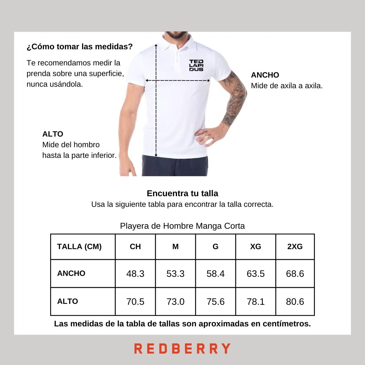 Playera Deportiva tipo polo Hombre Ted Lapidus Paris M.