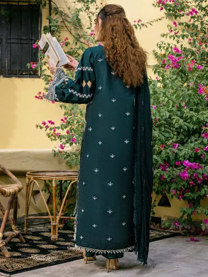 Sea Green Embroidered Pakistani Salwar Kameez Dupatta Salwar Suit